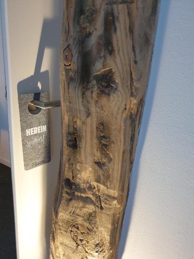 Hotel Apartment Ferienwohnung Meyenhof Frankenberg Eder フランケンベルク エクステリア 写真