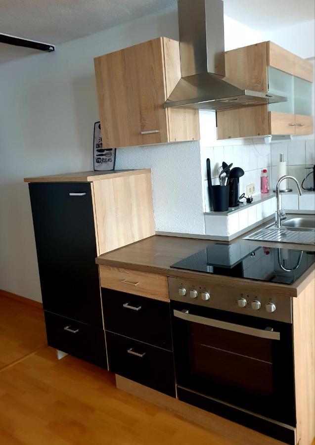 Hotel Apartment Ferienwohnung Meyenhof Frankenberg Eder フランケンベルク エクステリア 写真